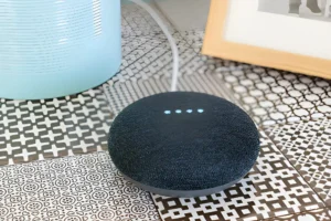 How Do You Set Up Google Home Mini